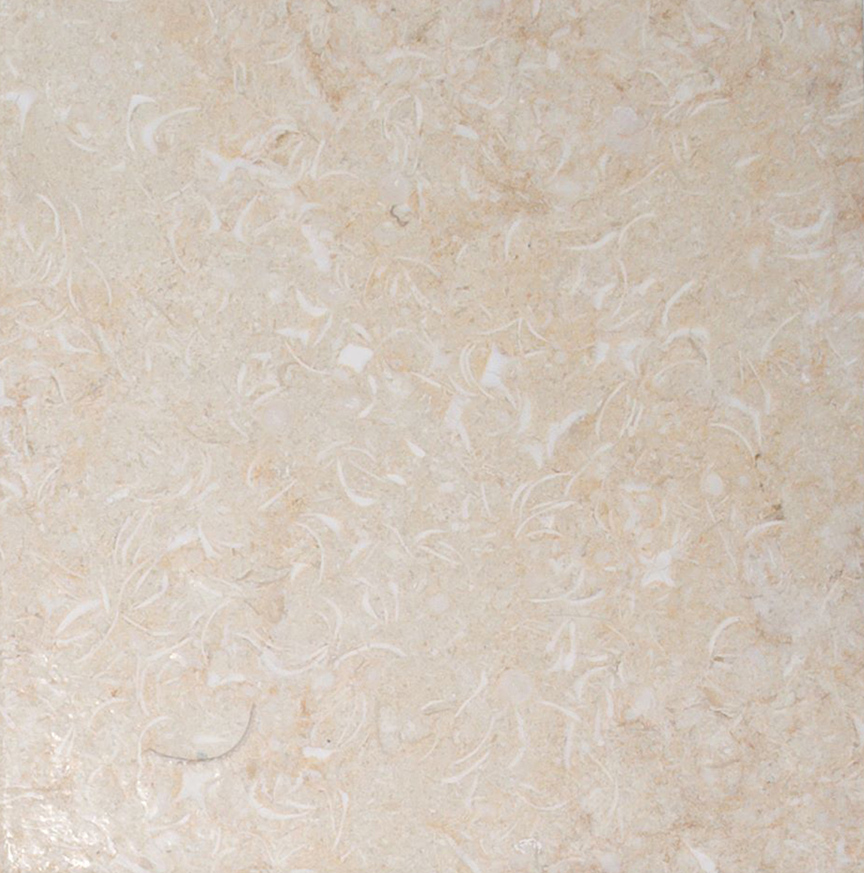 New Beige